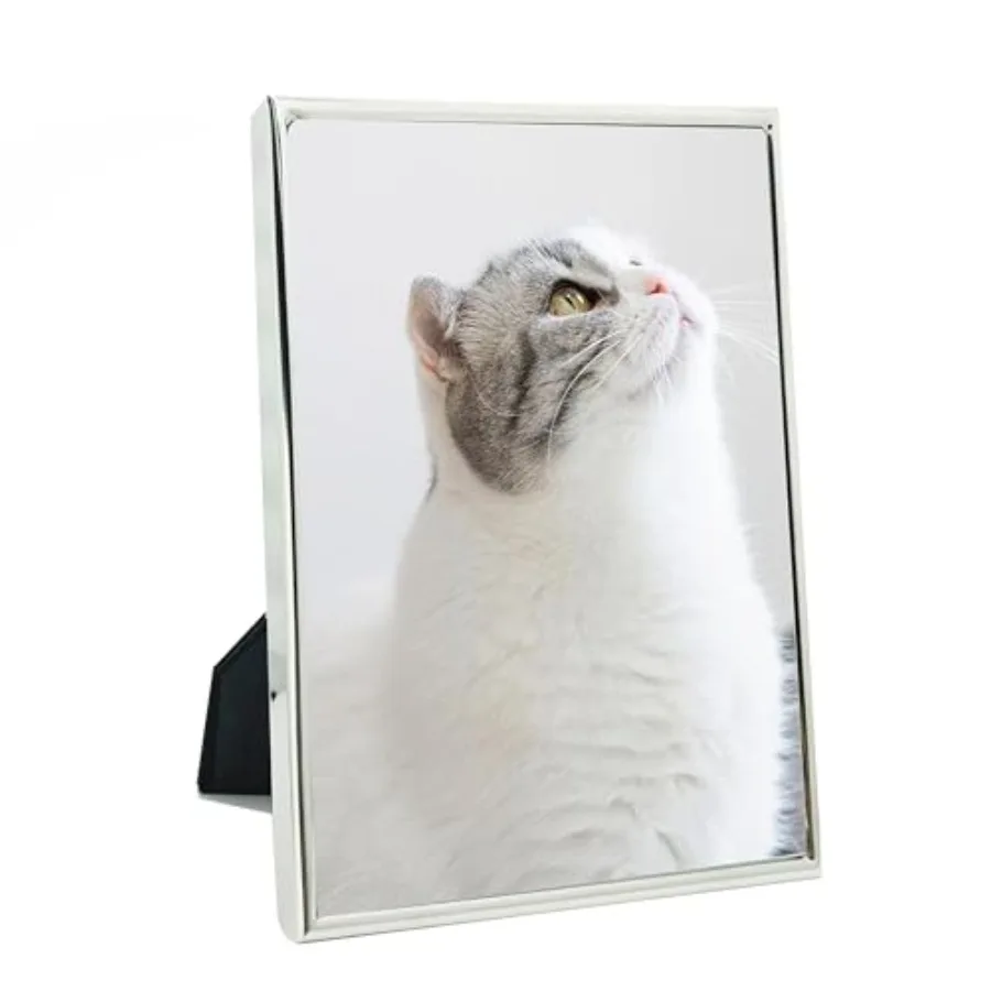 Picture Frame Thin …