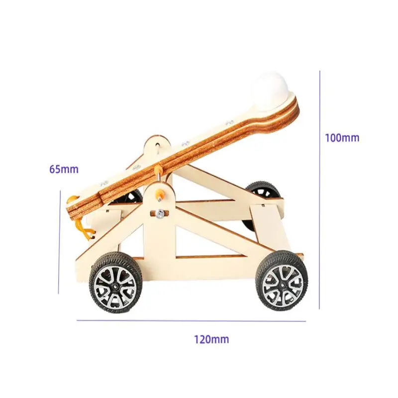 Inspiring Science DIY Kit, Physics-Based Catapult Model, Education Experiment Toy for Kids Gift
