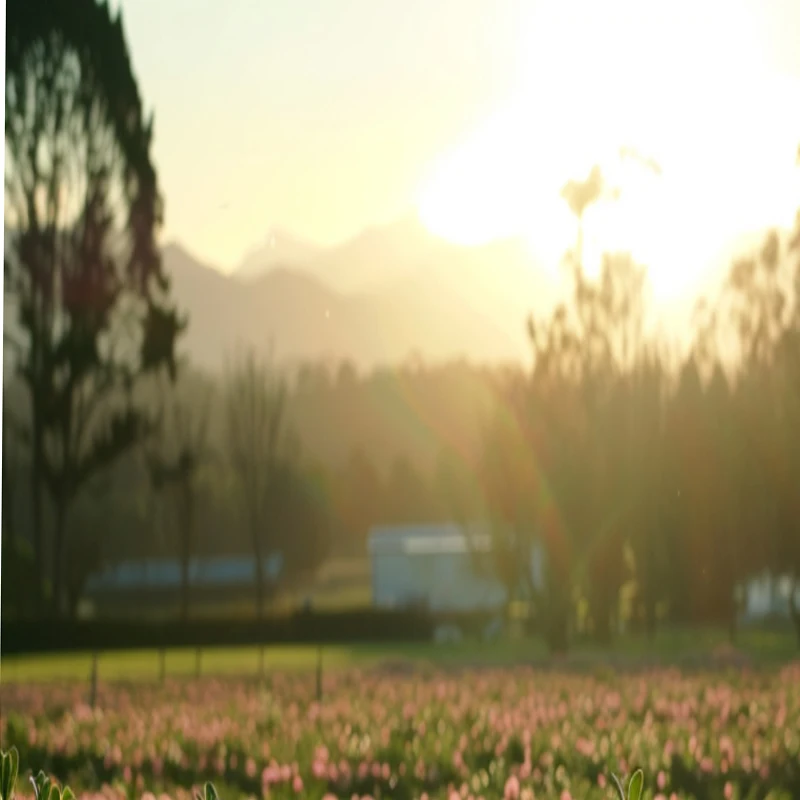 เซอร์โว JX รุ่น PS-1181HB น้ำหนัก 18 กรัม แรงบิด 3.0 กิโลกรัม เกียร์พลาสติก แบบอนาล็อก สำหรับรถบังคับ เรือบังคับ เครื่องบินบังคับ เฮลิคอปเตอร์บังคับ แขนหุ่นยนต์บังคับ และของเล่นบังคับ