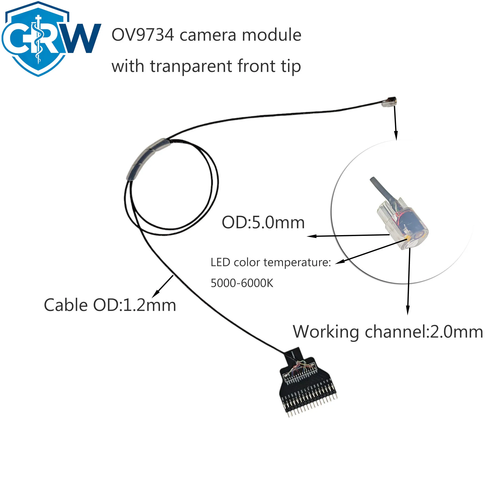 CRW Mini   USB Type C Windows/Android     OVM9734 Cystoscope Bronchoscope Medical     Module