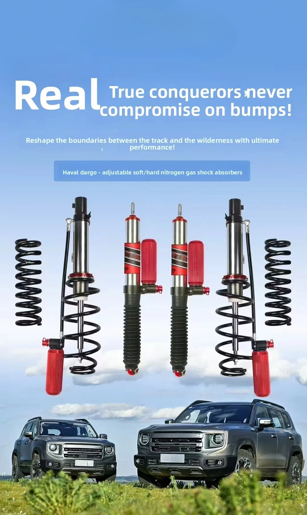 Custom Nitrogen Adjustable Steel Suspension Coil Spring Shock Absorber for M-Benz G350/500/55 Front/Rear Raise the Chassis