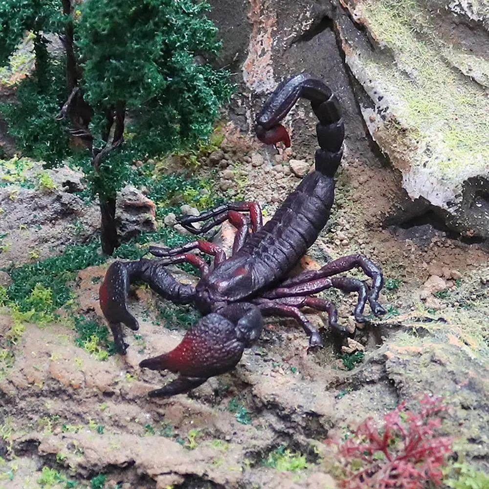 Escenas naturales de ciencia realista, modelo de escorpión, suministros de Halloween, estatuilla de insecto cognitivo para niños