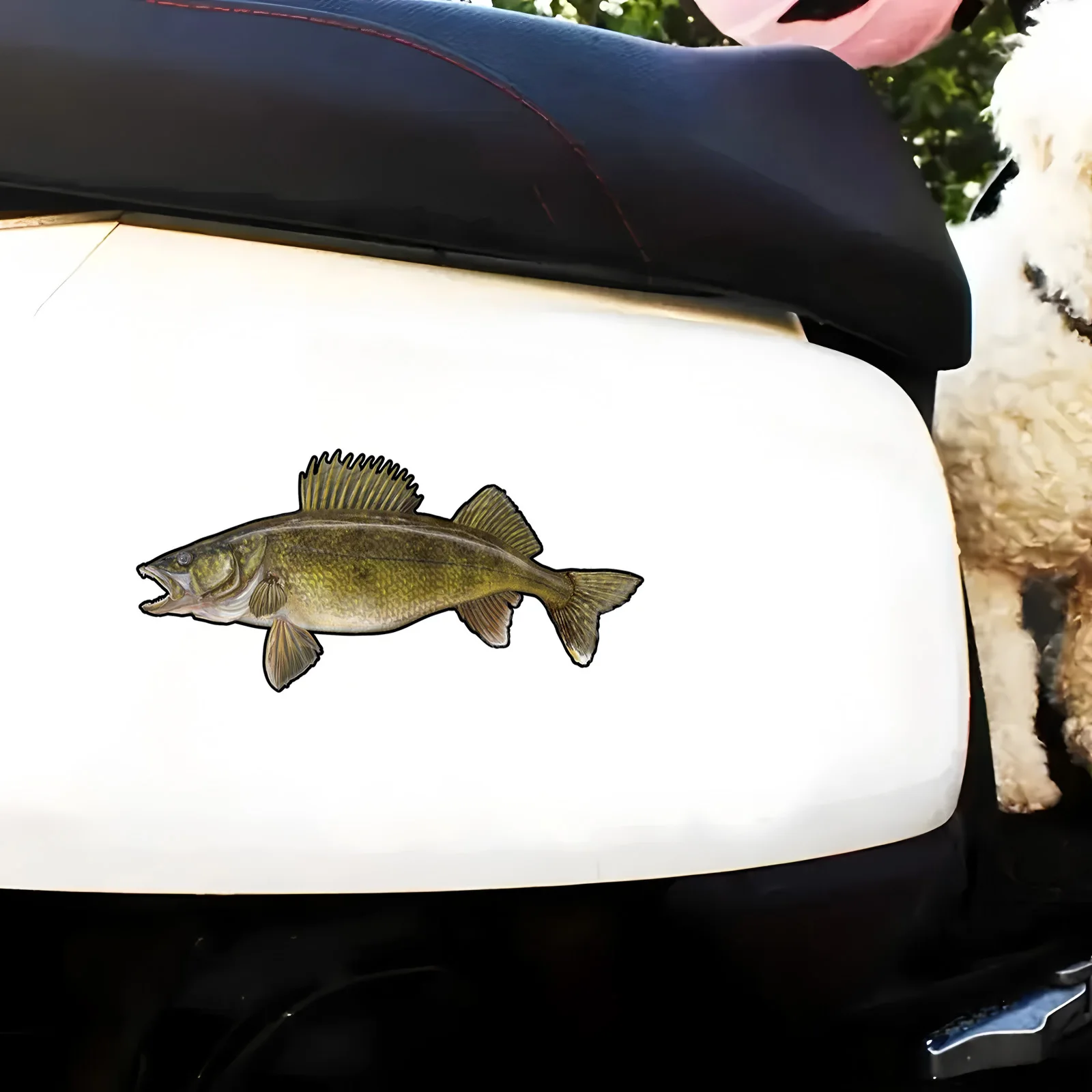 

70108# Walleye Car Sticker, Fun Waterproof Sticker for Cars, Trucks, Motorcycles, Walls, Windows, PVC Material