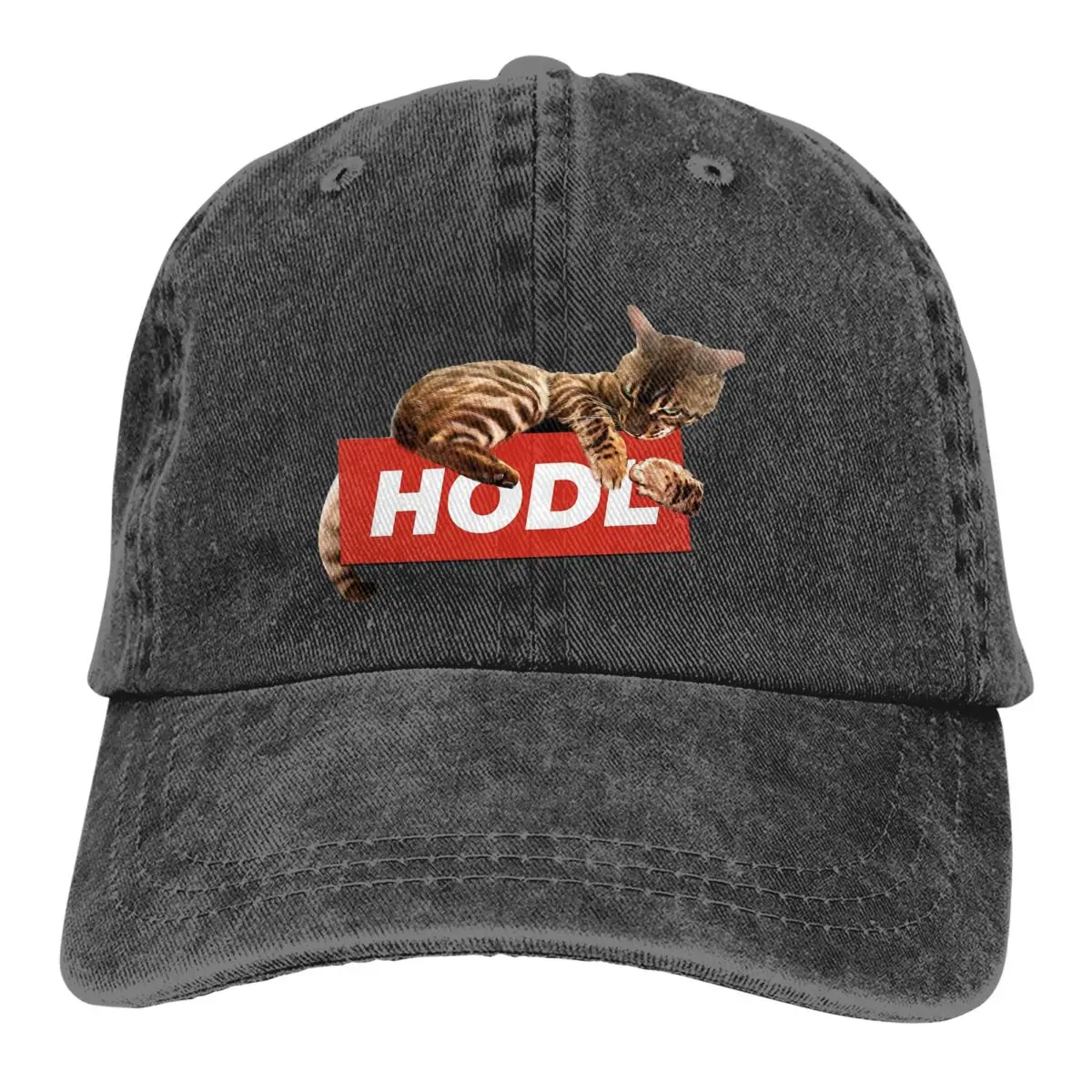 Cat Hodl Your Baseball Cap Men Cowboy Hats Women Visor Protection Snapback Bitcoin Crypto Miners Meme Caps