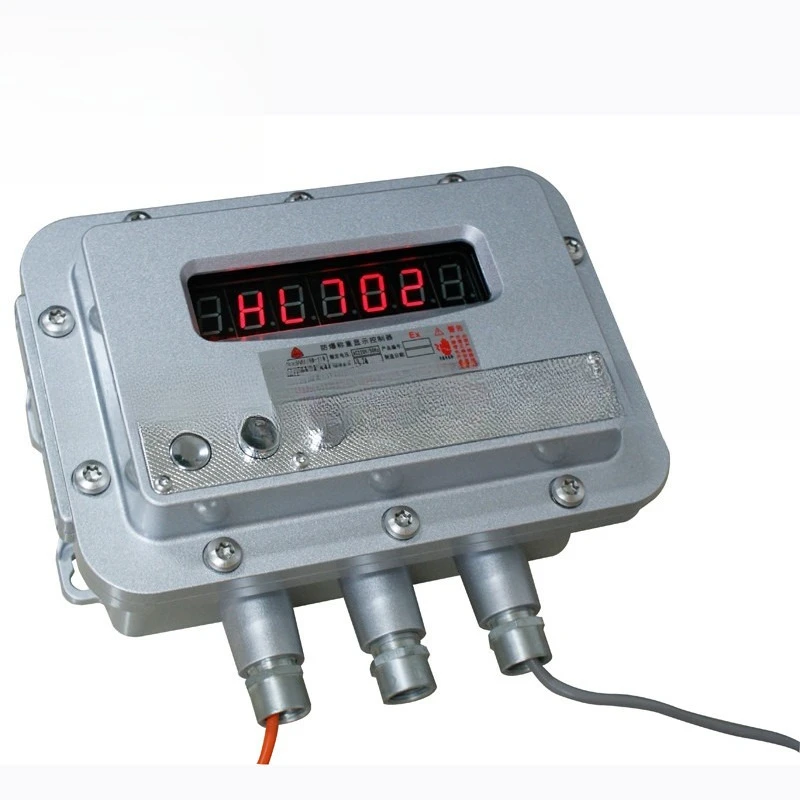 

Flameproof instrument, stainless steel floor scale, multi-function instrument control