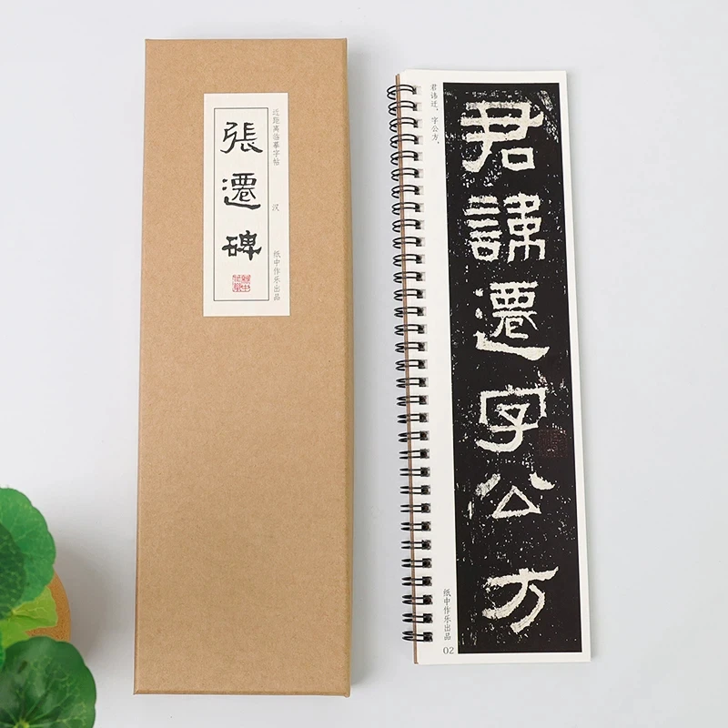 Official Script Copybook Cards Chinese Inscription Zhang Qian Bei Copy Book Enlarged Close Range Copy Calligraphy Tutorial Books