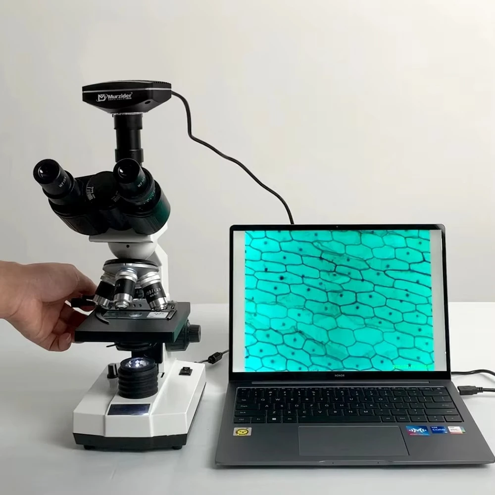 Biomicroscopio Trinocular con Mecánico de Microscopio de 5,1 Millones