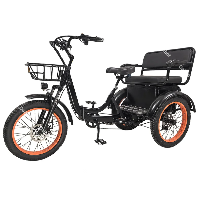 750W Familien-Elektrofahrrad 2-Sitzer Fatbike Elektrofahrrad mit 3 Rädern Abnehmbarer Akku Elektro-Dreirad für Erwachsene mit Beifahrern – Detail 3