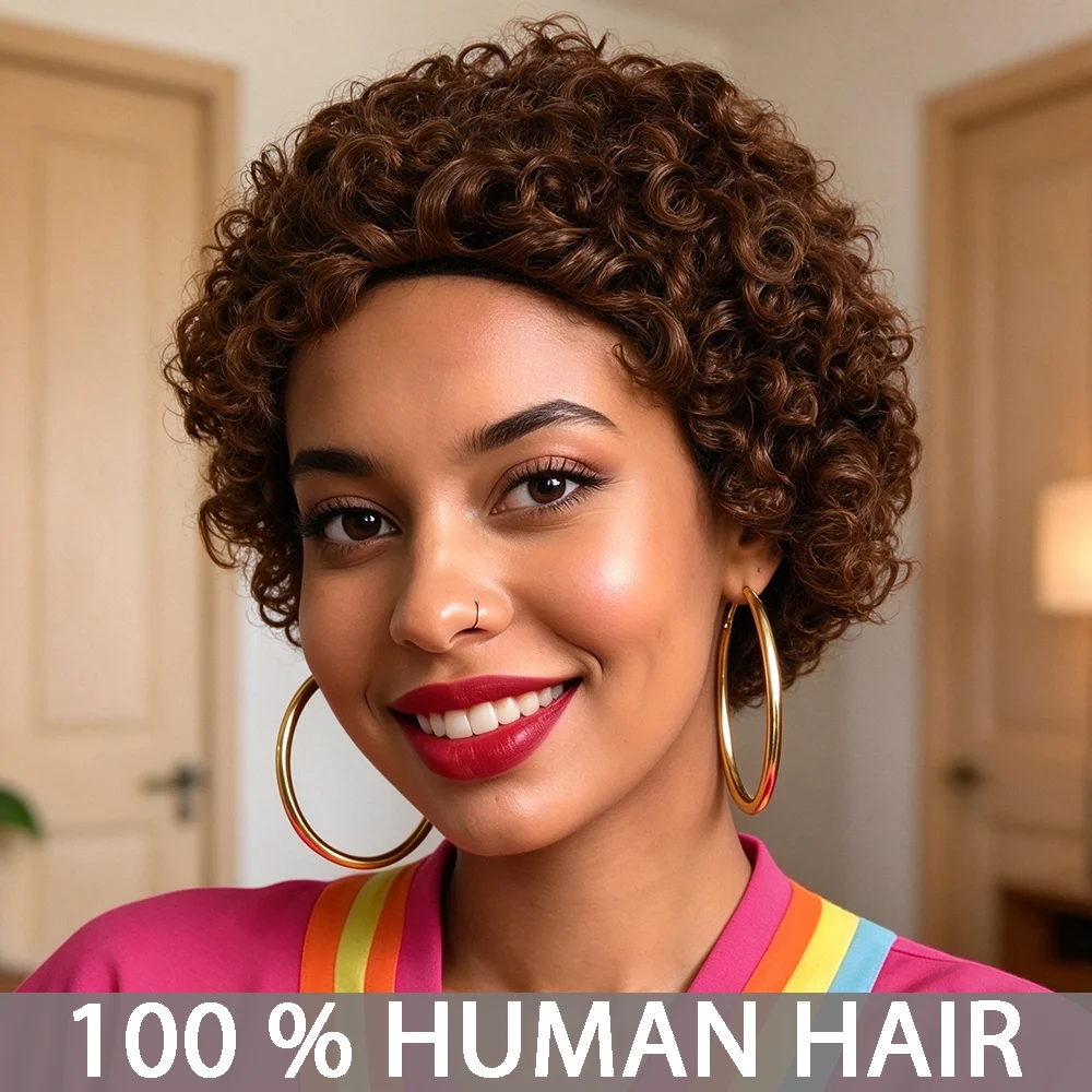 Natural Black Brown 4# Afro Kinky Curly Wig Human Hair -full machine Short Wig with Fluffy Voluminous Texture Hair Wig