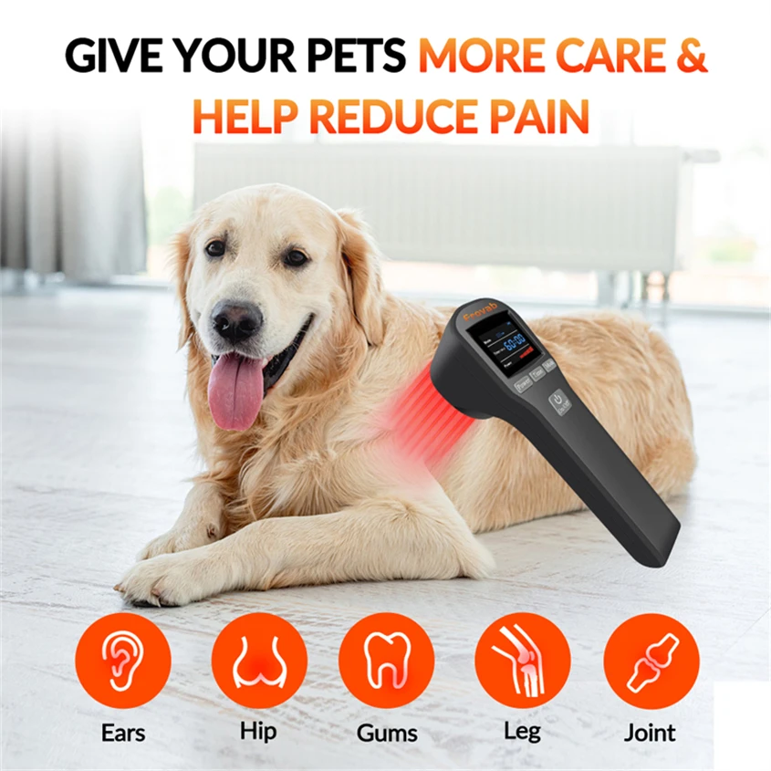 Cold Laser Therapy 4x808 Class 3 Laser for Dogs Laser Back Pain Promoting Cell Growth Speed up Wound Healing Tendon Injuries