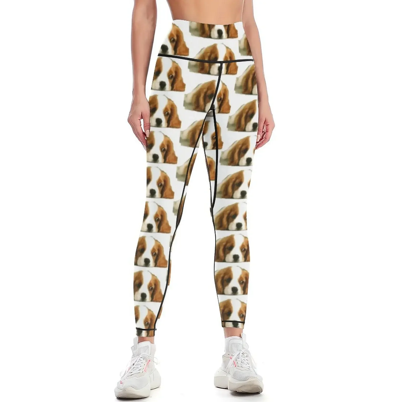 

Amy's cute puppy work Leggings fitness set gym Jogger pants Women's pants Womens Leggings