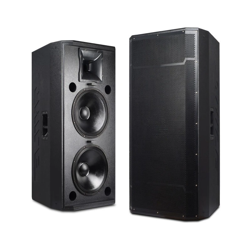 

15 inch stage speaker large