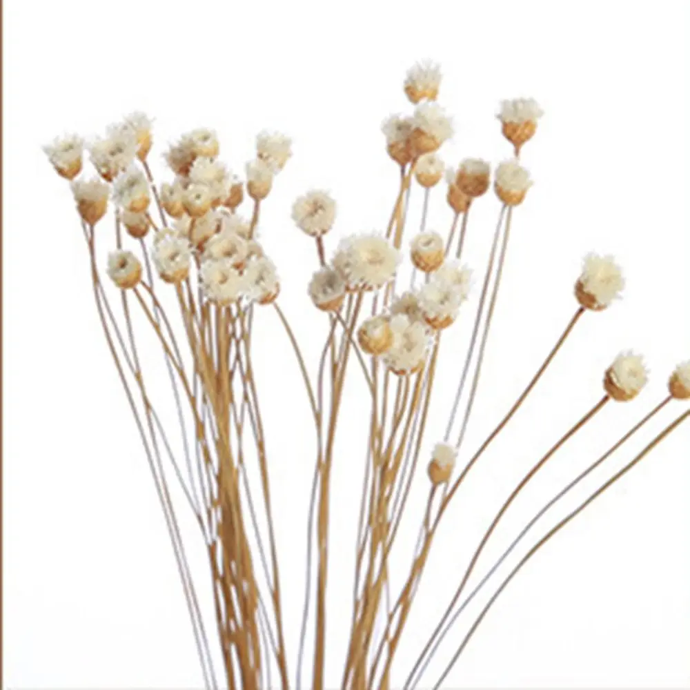 

Natural Living Room Volatile For Home Fireless Aroma Dried Flowers Artificial Flower Aromatic Incense Diffuser Sticks