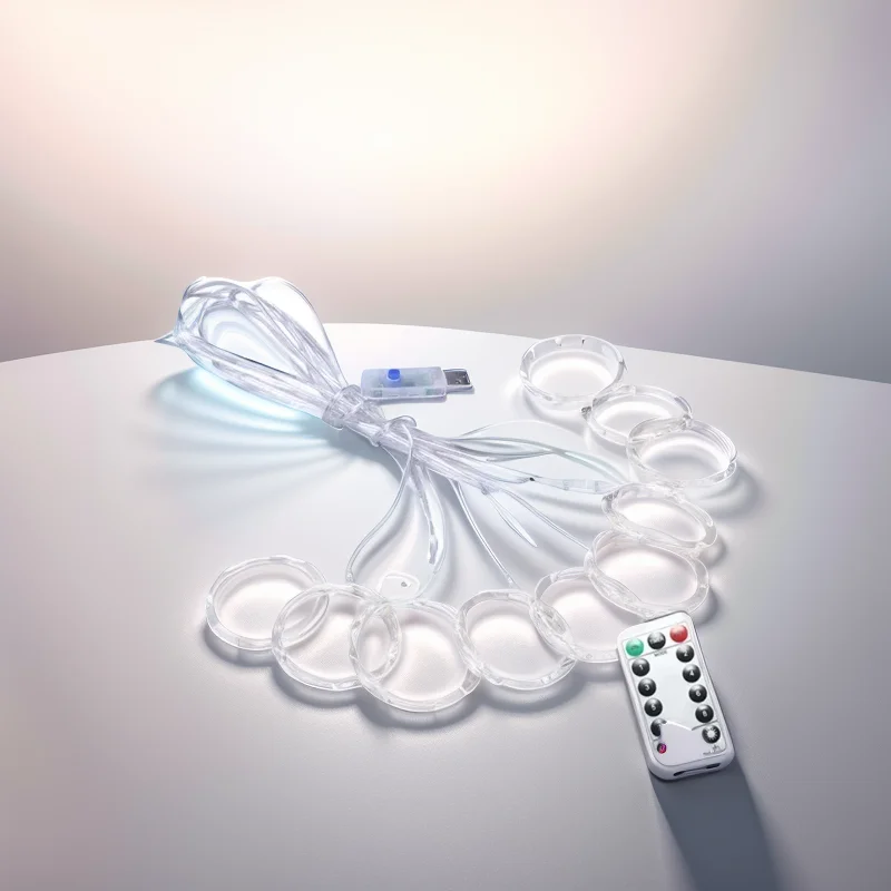 리모컨 USB 커튼 요정 조명, 100 LED, 8 가지 모드, 침실, 결혼식 및 휴일 장식 (따뜻한)