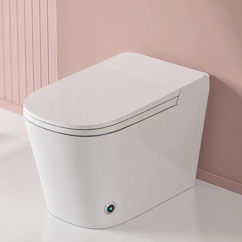 Germany Aomagno Integrated Oversized Smart Toilet Fully Automatic No Water Pressure Limit Household Electric Toilet