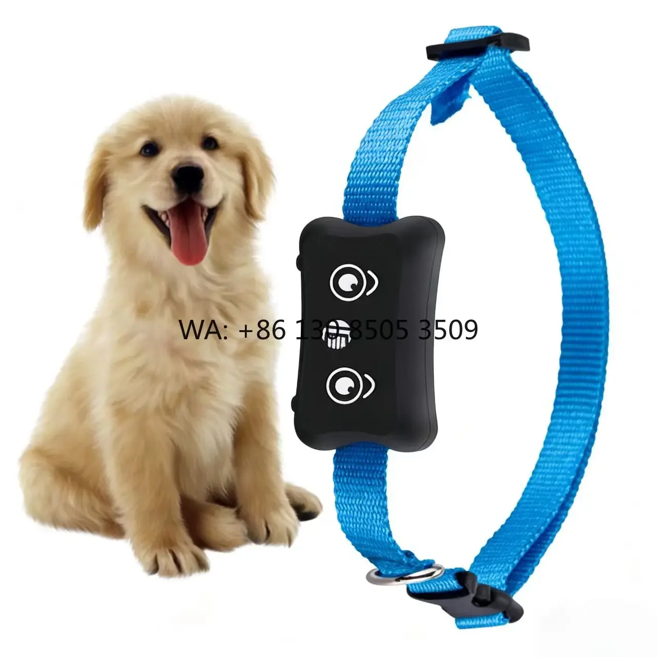 Wholesale Intelligent Pet GPS Tracker IP67 Waterproof Real-time Tracking Collar SOS Alarm Magnetic Charging Baidu/Google Maps