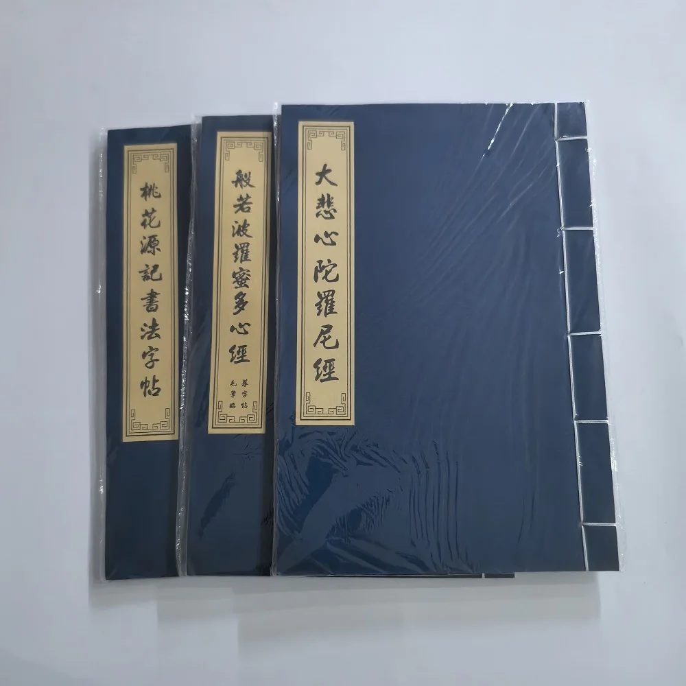 Regular Script Copying Book Chinese Calligraphy Copybook Running Script Shou Jinti Copybook Traditional Calligraphy Practice