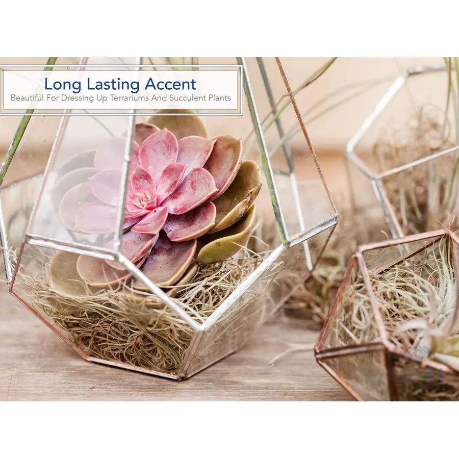 Preserved Natural S… - image