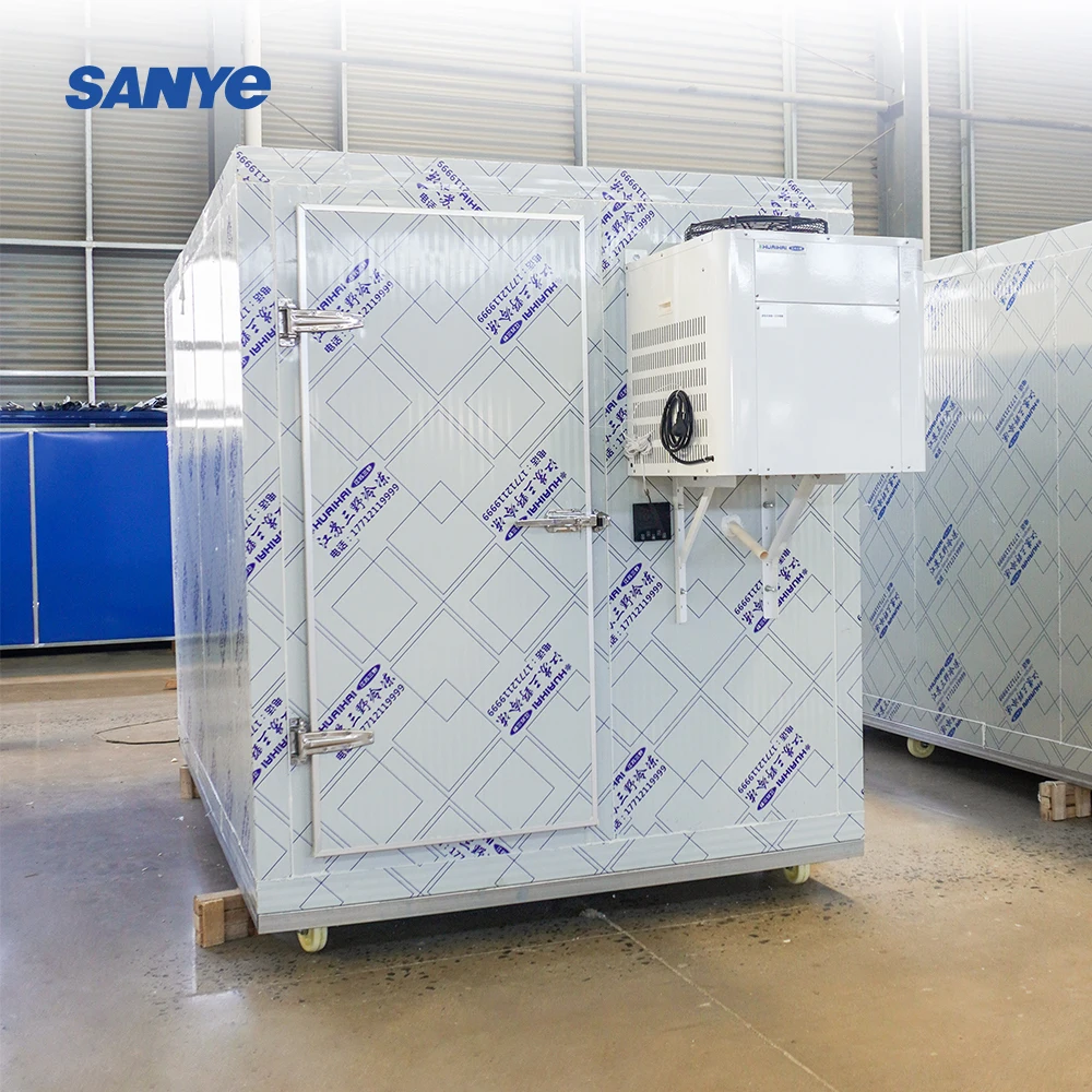 Sala di stoccaggio fredda dell'attrezzatura di refrigerazione del congelatore del contenitore mobile all'ingrosso da 20 piedi per il negozio di ghiaccio di verdure di carne di pesce