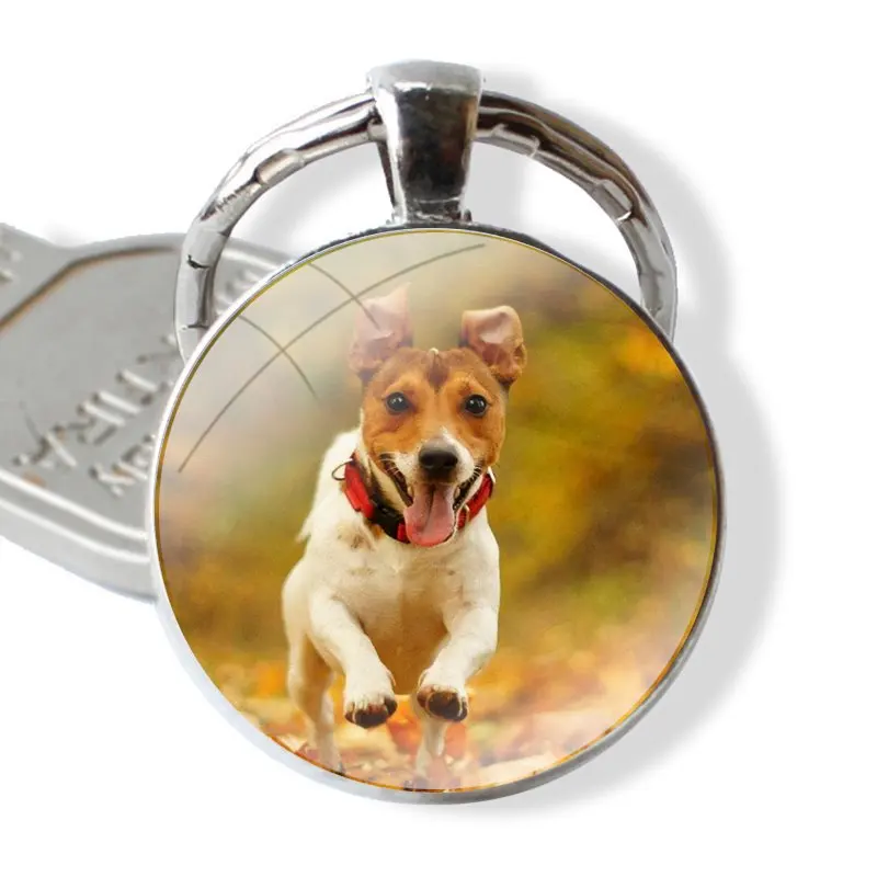 Jack Russell Terrier Dog glass cabochon keychain Car key chain Charms keychains Gifts Accessories Phone Shell Covers