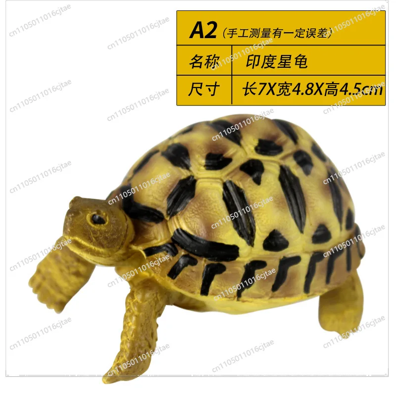 For Simulation Resin Turtle Model, Tortoise Box Landscaping Decorative Goods Ornament Crafts