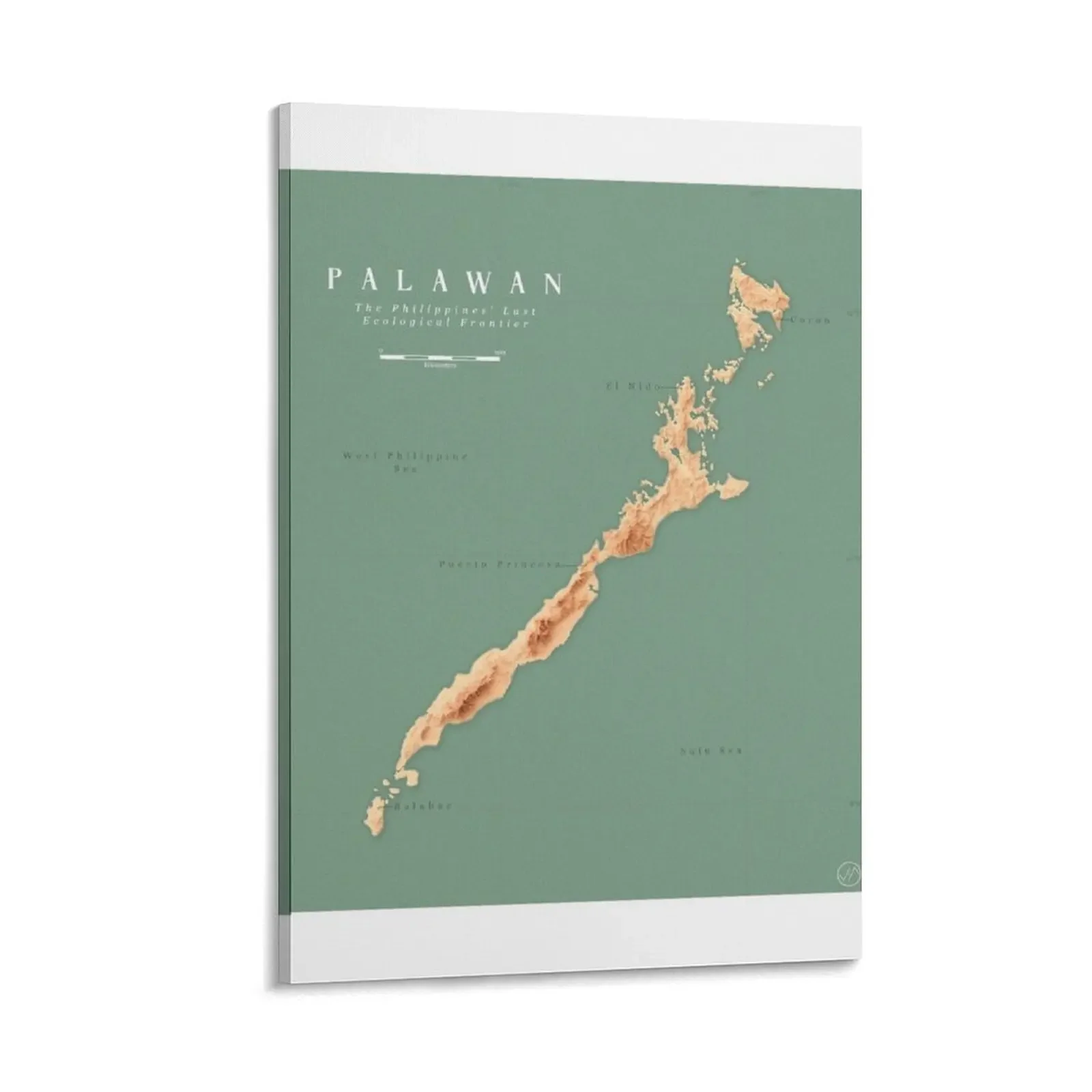 

Palawan Relief Map Canvas Painting Decoration for home Wall posters