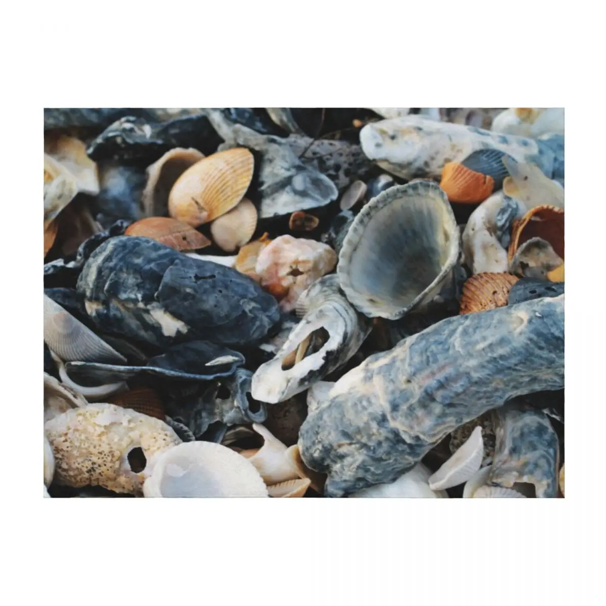 

Shells Throw Blanket Designers Custom Multi-Purpose Bed Blankets