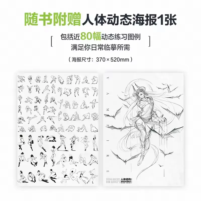 مبادئ هيكل الجسم وتقنيات الرسم: دليل لفن وجمع ألعاب الرسوم المتحركة - كتاب