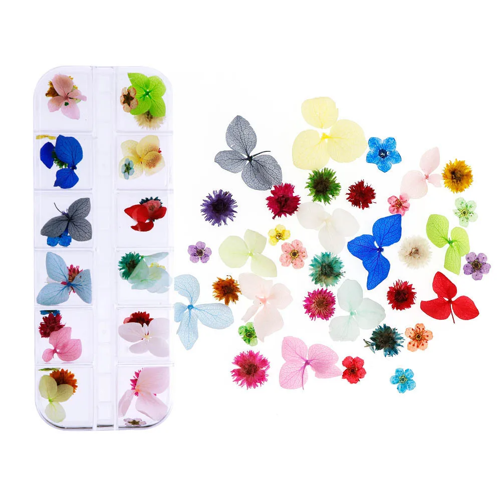 Mini Dried Flower Material Package 12 Color Hydrangea Daffodils Small Daisy Manicure Stickers Japanese