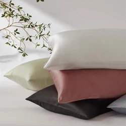 30MM Envelope Pillowcase 1pc Both Sides 100% Silk Oxford Pillow Case Cover Good For Hair Solid Color Multicolor Plain Dyed