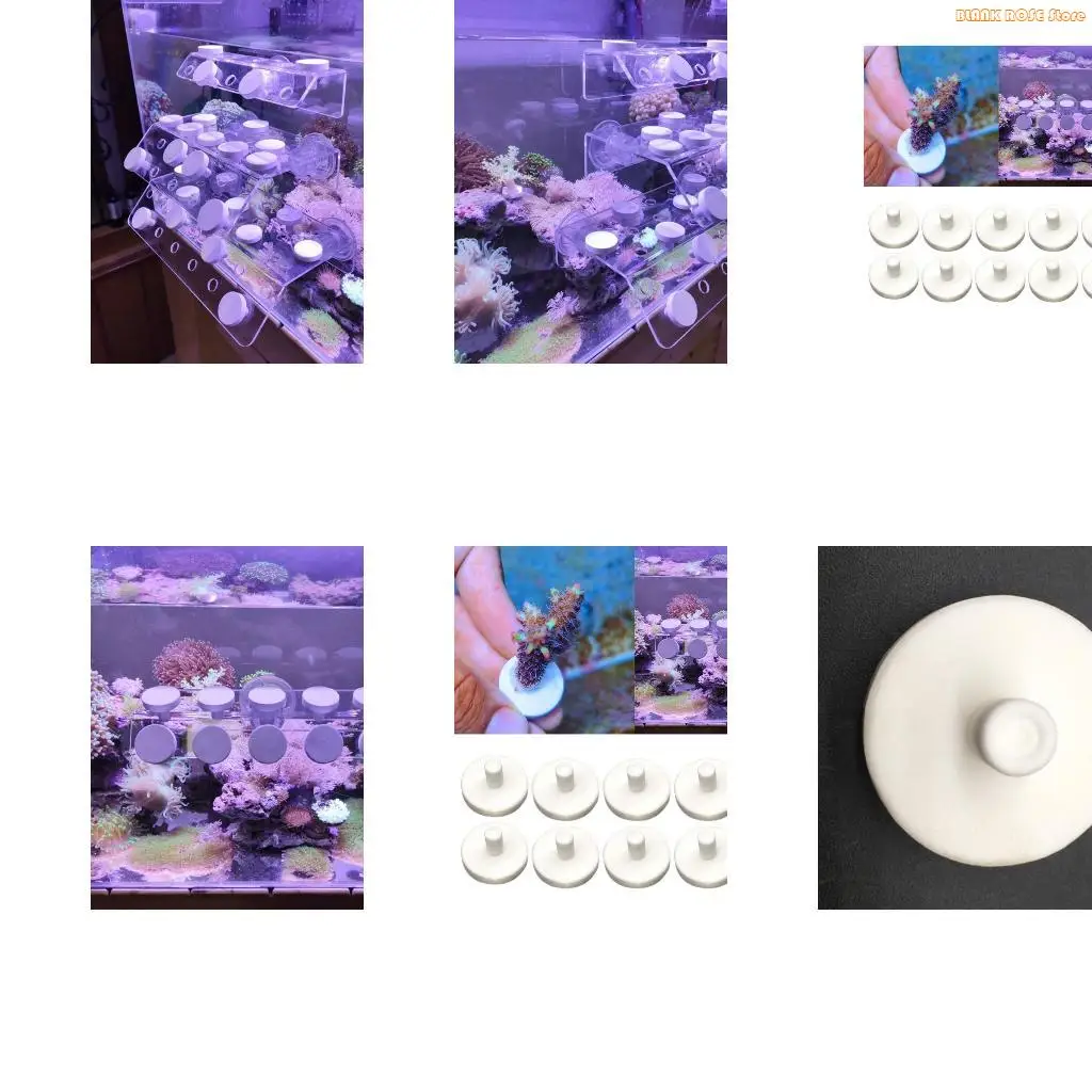 K1AE 10pcs Ceramic Coral Frag Disks T-Shape Coral Base Support Aquarium Coral Reef Frag Fish for Tank Supplies