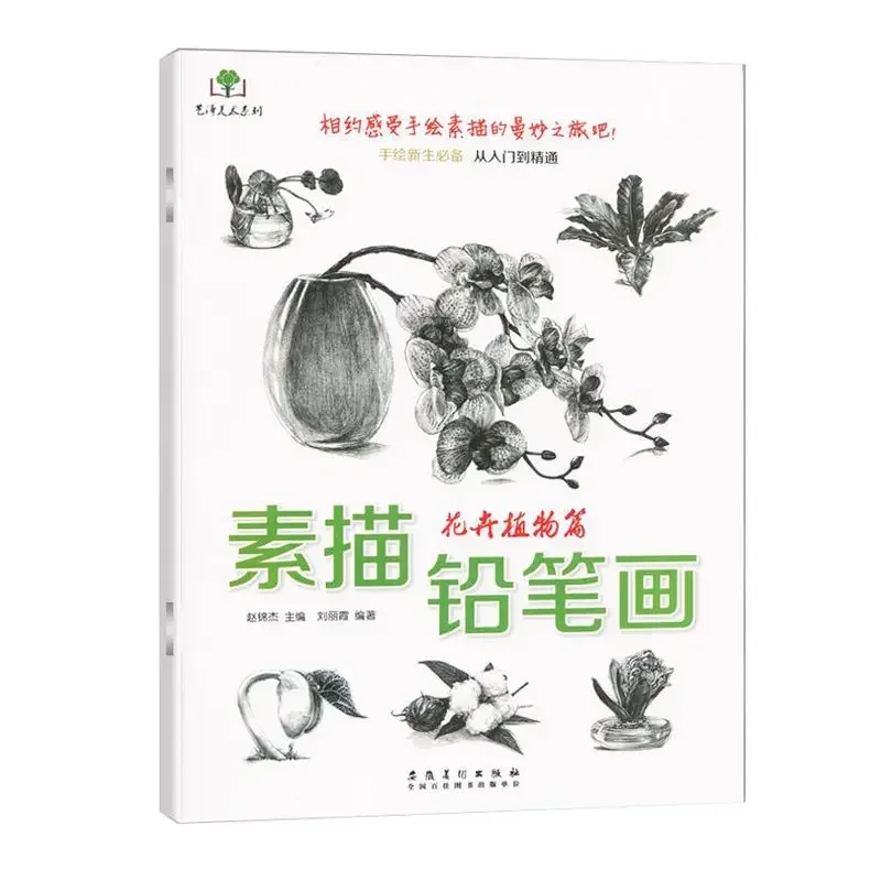 Sketch Pencil Drawing Flowers Plants Chapter Sketch Drawing Fleshy Sunflower Cactus Lily Rose Other Art Painting Books