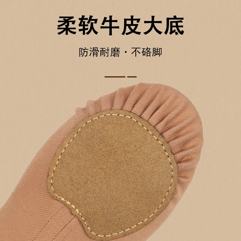 Chaussures de danse en tissu entièrement élastique pour femmes, chaussures d'entraînement du corps à semelle souple, griffe de chat, danse classique chinoise