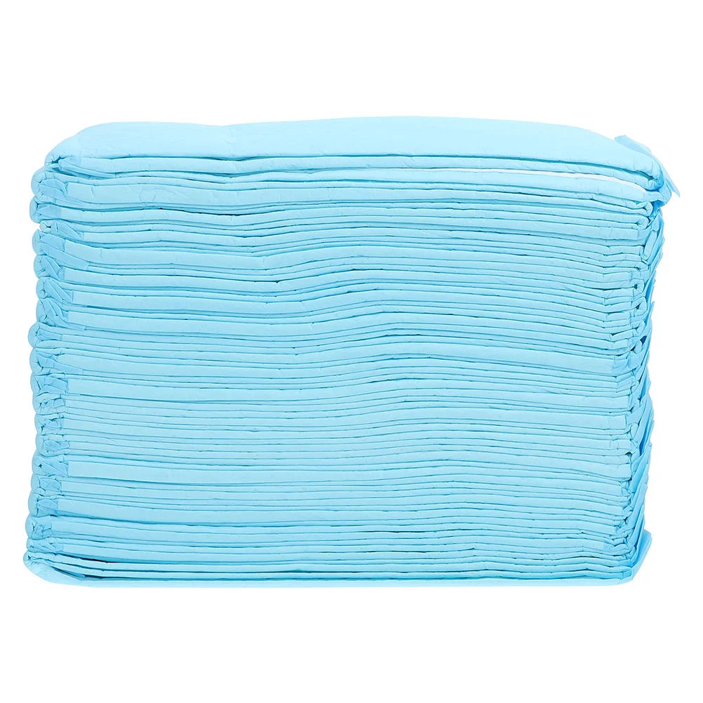 

40 Pcs Pet Pee Mat Pets Urine Absorbent Pad Guinea Pig Pads for Training Non-woven Fabric Supplies Changing Urinal