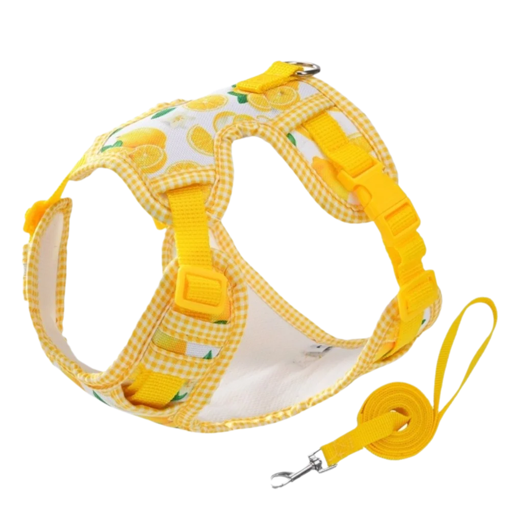 

Adjustable Dog Harness Leash Set Escape-Proof Breathable Dog Harness Vest Comfort Fit Cartoon Pattern Pet Walking Rope