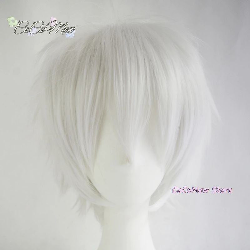 Perruque Anime Cosplay pour Homme et Femme, Fibre, Degré de Chaleur, Costumes d'Halloween, 30cm