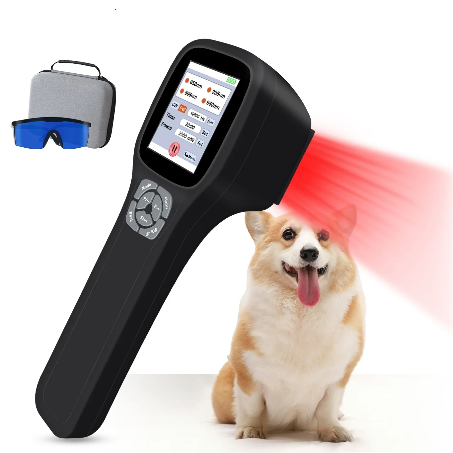 NEW2026 ZJZK 808nm 650nm Class 4 Laser Therapy Photobiomodulation Low Level Red Light Dog Horse Pain Relief Soft Tissue Injuries