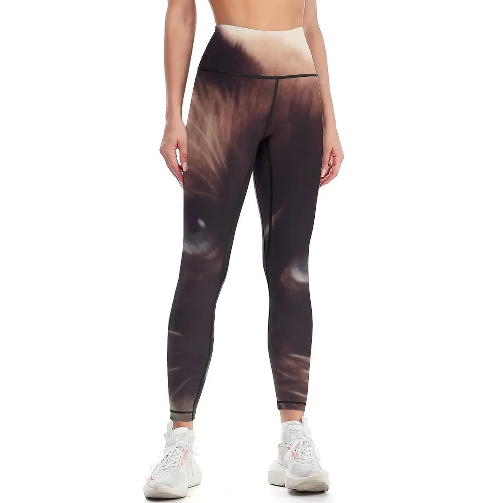 

Seal Point Ragdoll Leggings push up fitness Women's fitness legings for fitness sports for gym Womens Leggings