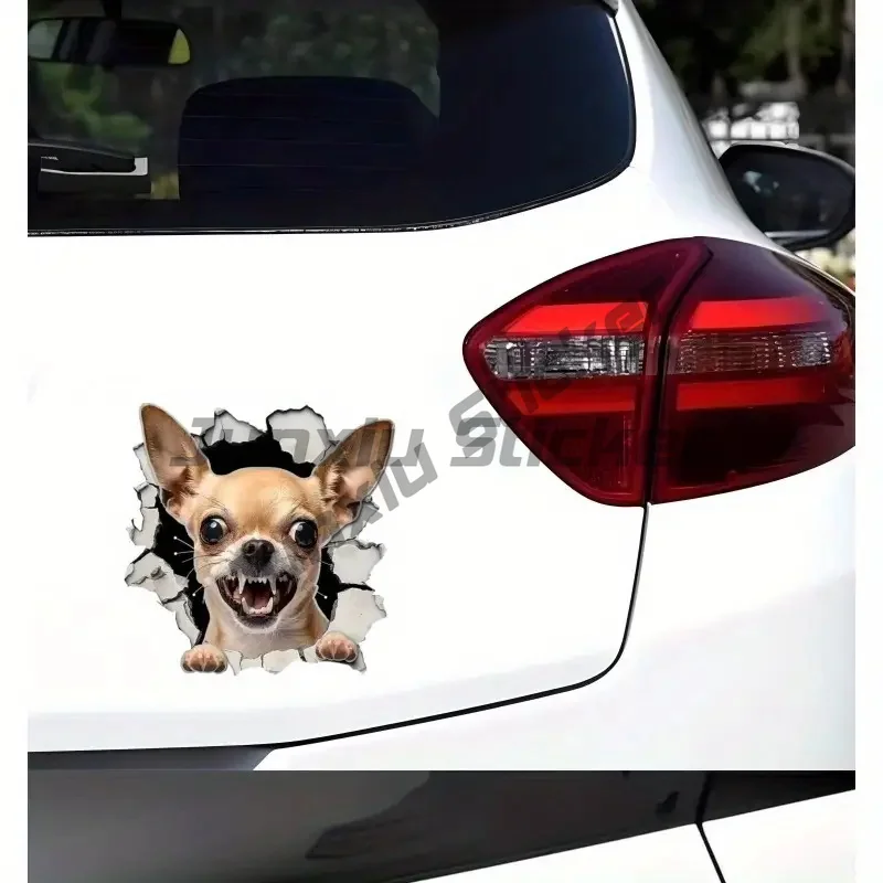 

Chihuahua Break The Wall Car Bumper Window Stickers for Truck Van, Waterproof Car Decals, Vinyl Material Decorative Accessories