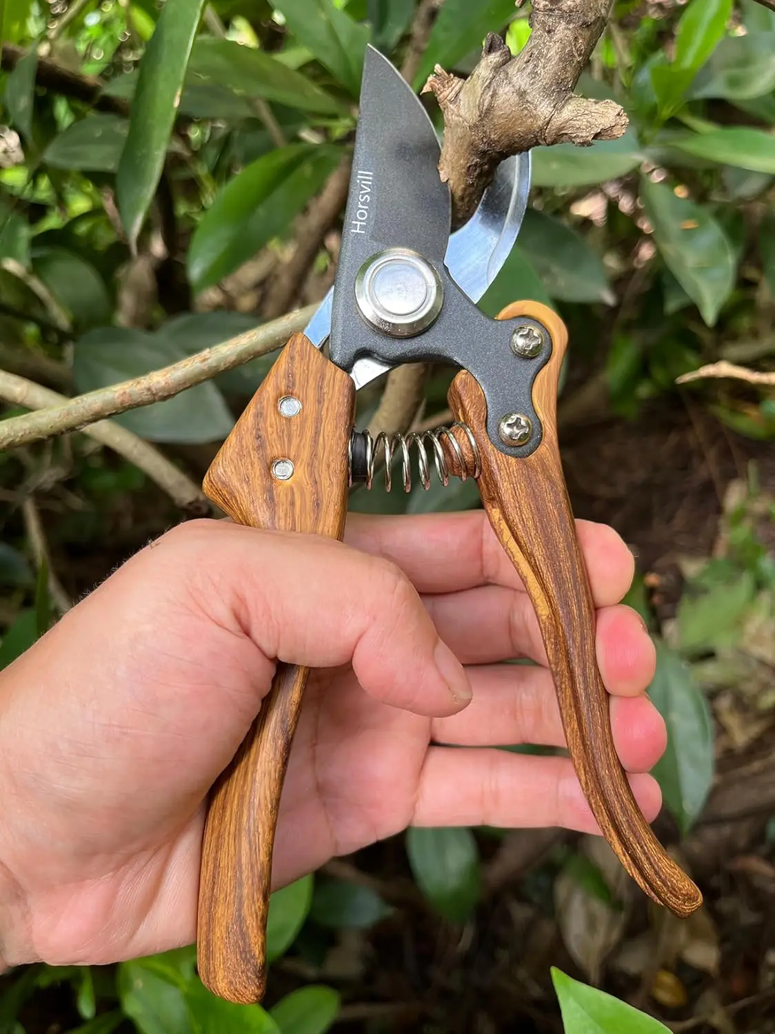 Tijeras de jardín, cortadores de ramas florales japoneses, tijeras para jardinería, tijeras para flores, podadoras de flores, podadoras de mano