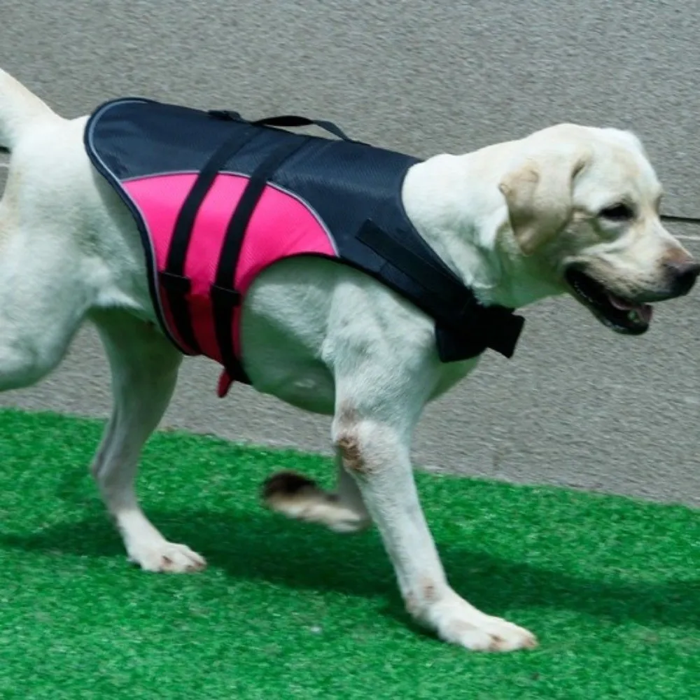 

Adjustable Dog Life Jacket Enhanced Buoyancy Breathable Dog Swimming Suit Reflective Dog Surfing Clothes Summer Vacation