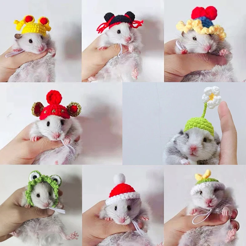 Handmade Knitted Hamster Hat Strawberry Frog Parrot Hat Small Animal Outfit Suit Adjustable Chin Strap Snake Cute Small Pet Hat