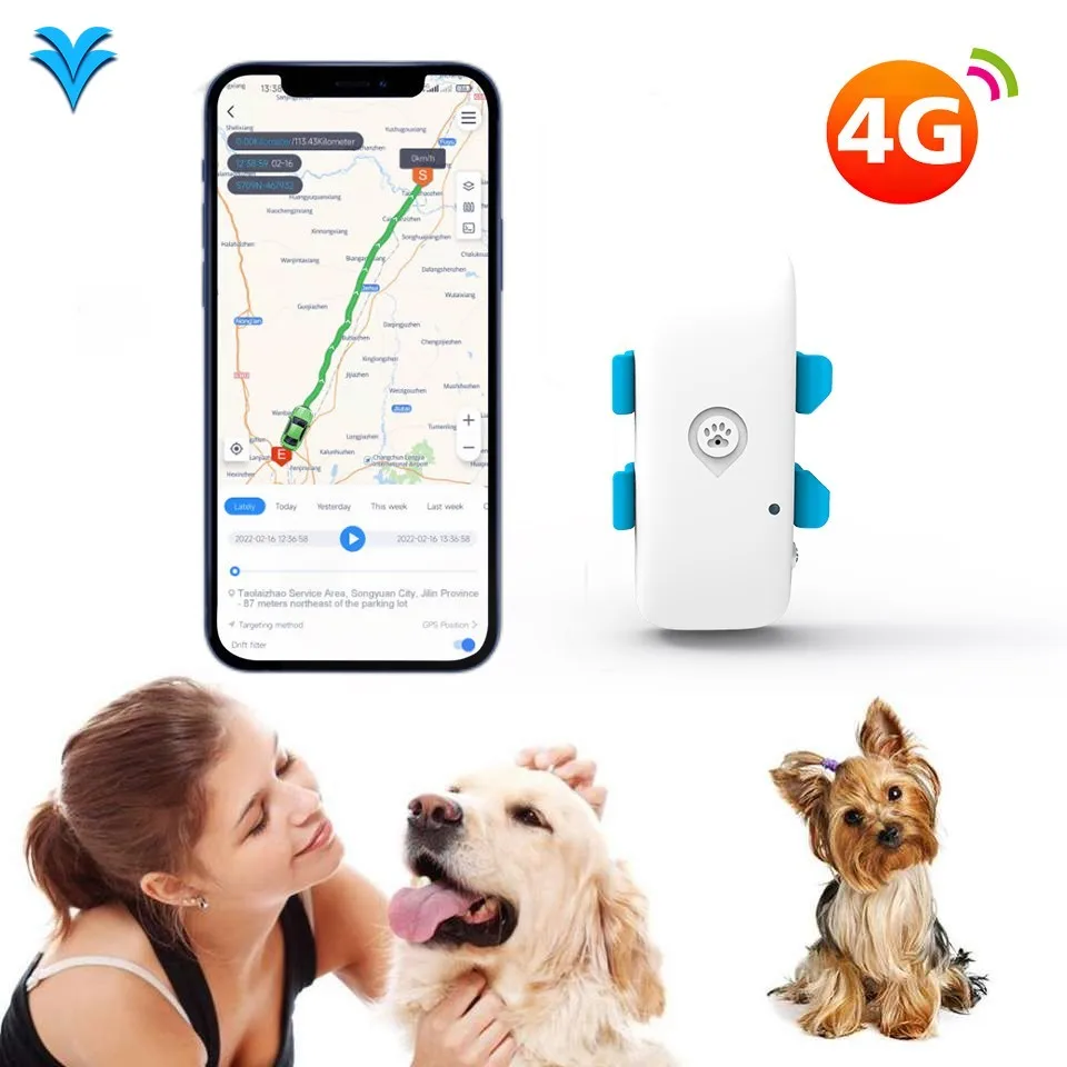 

Lifetime Free App 4G C032 Pet Gps Tracker Gps Bds Agps Lbs Multiple Positioning Mode