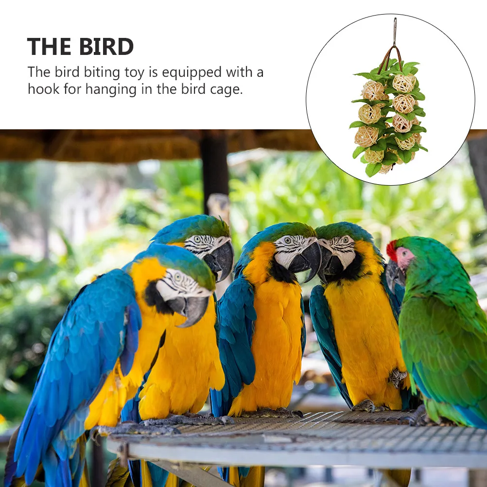 Bird Plaything Hanging Rattan Ball String for Parrot Chewing Nibbling Bite Play Climbing Exercise Eco Friendly Stainless Steel