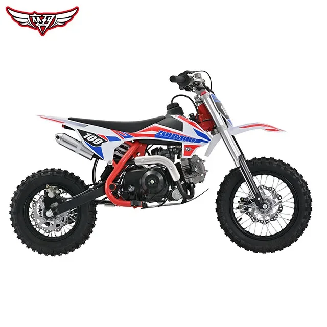 Factory-direct Sales Zuumav 110cc Automatic Gas Dirt Bike For Kids