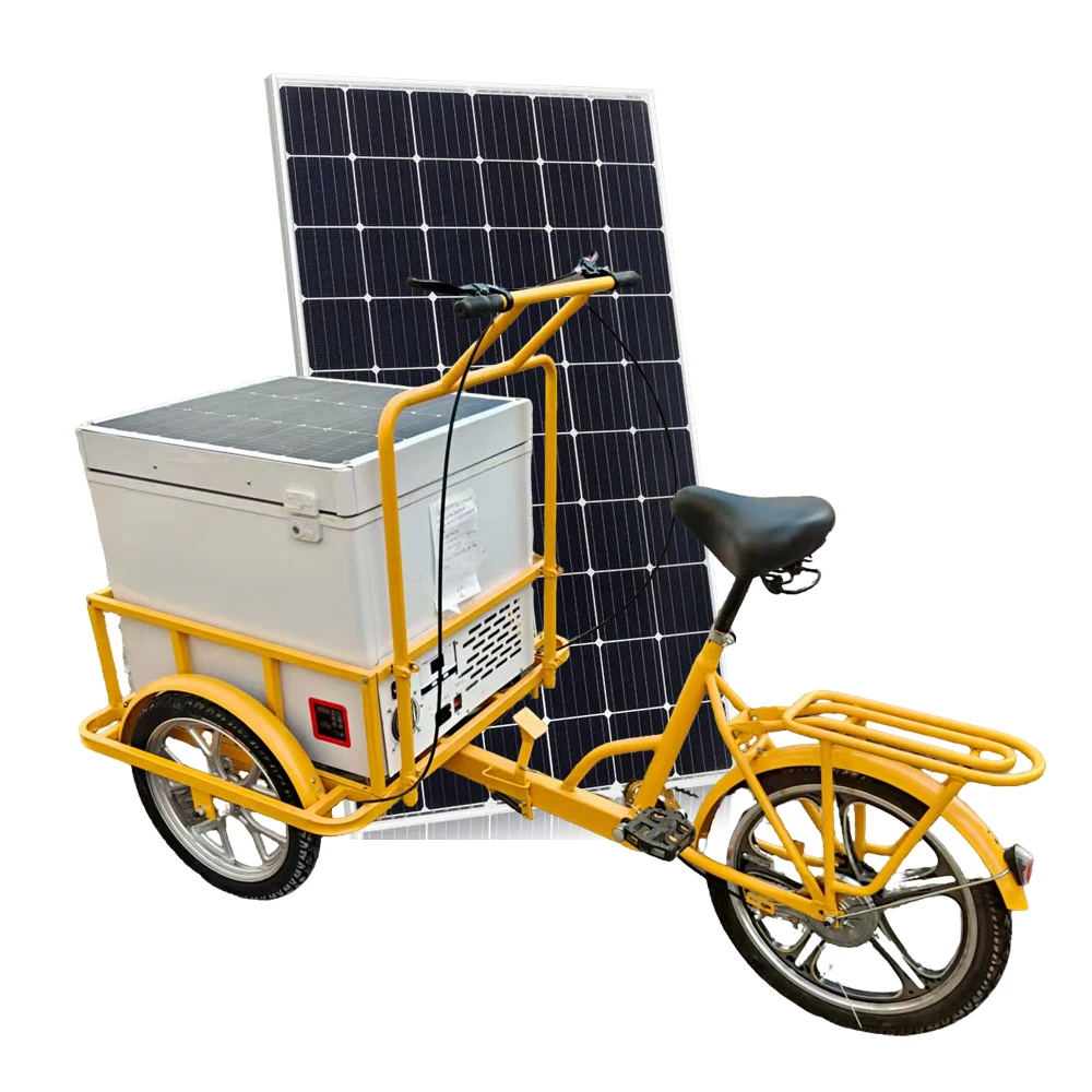 High Quality Pedal-Assist Solar Chest Deep Freezer Tricycle 68liter Solar Powered Ice Cream 3-Wheel Bike for Soft Drink Popsicle