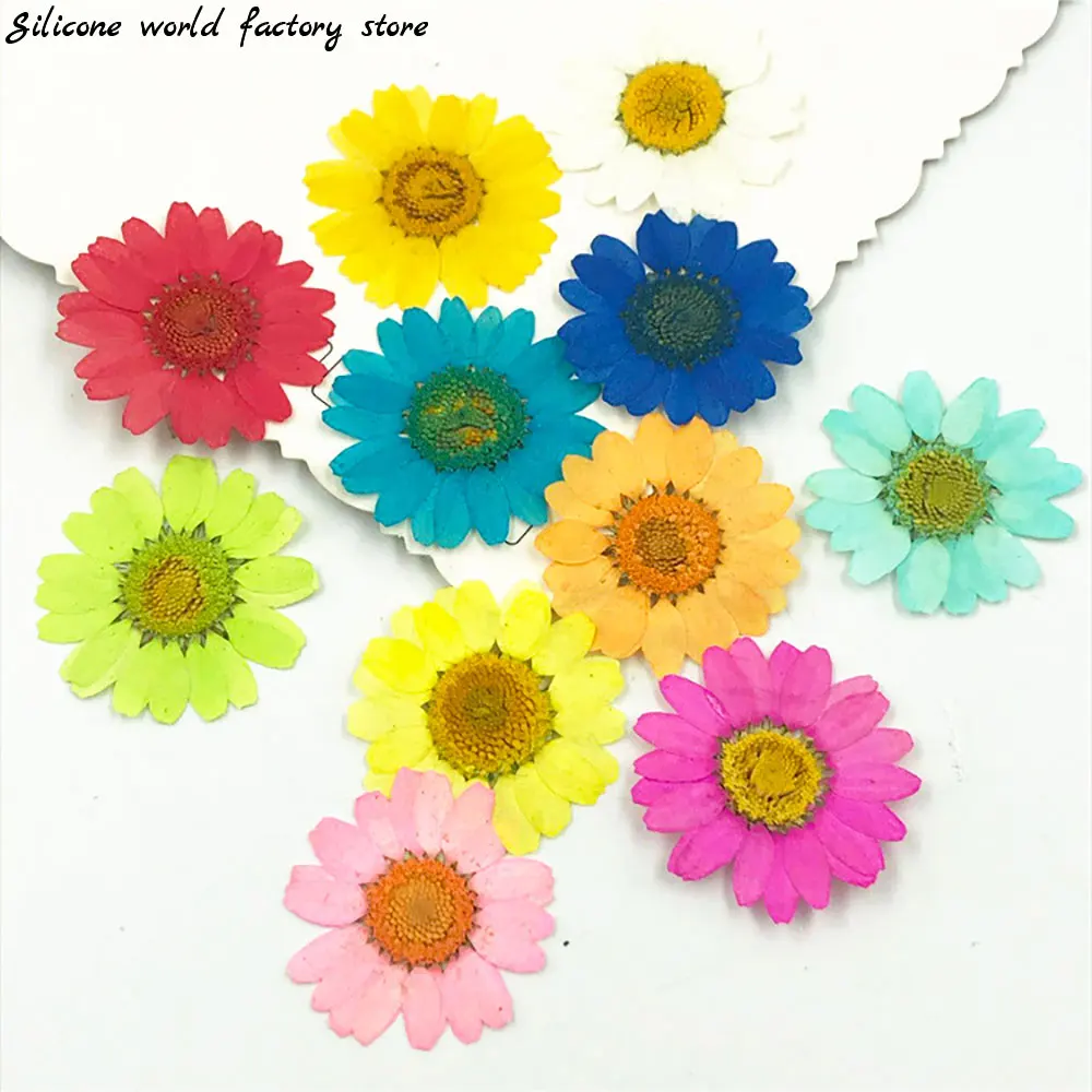 Silicone world Dried Flower Dry Plants For Epoxy Resin Pendant Necklace Jewelry Making Craft DIY Accessories UV Expoxy Flower