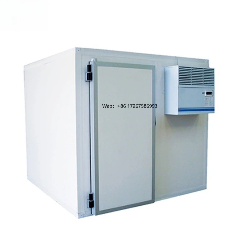 30 m³ Storage Volume Cold Storage Size 4*3*2.5 Meters for Ice or Meat Storage