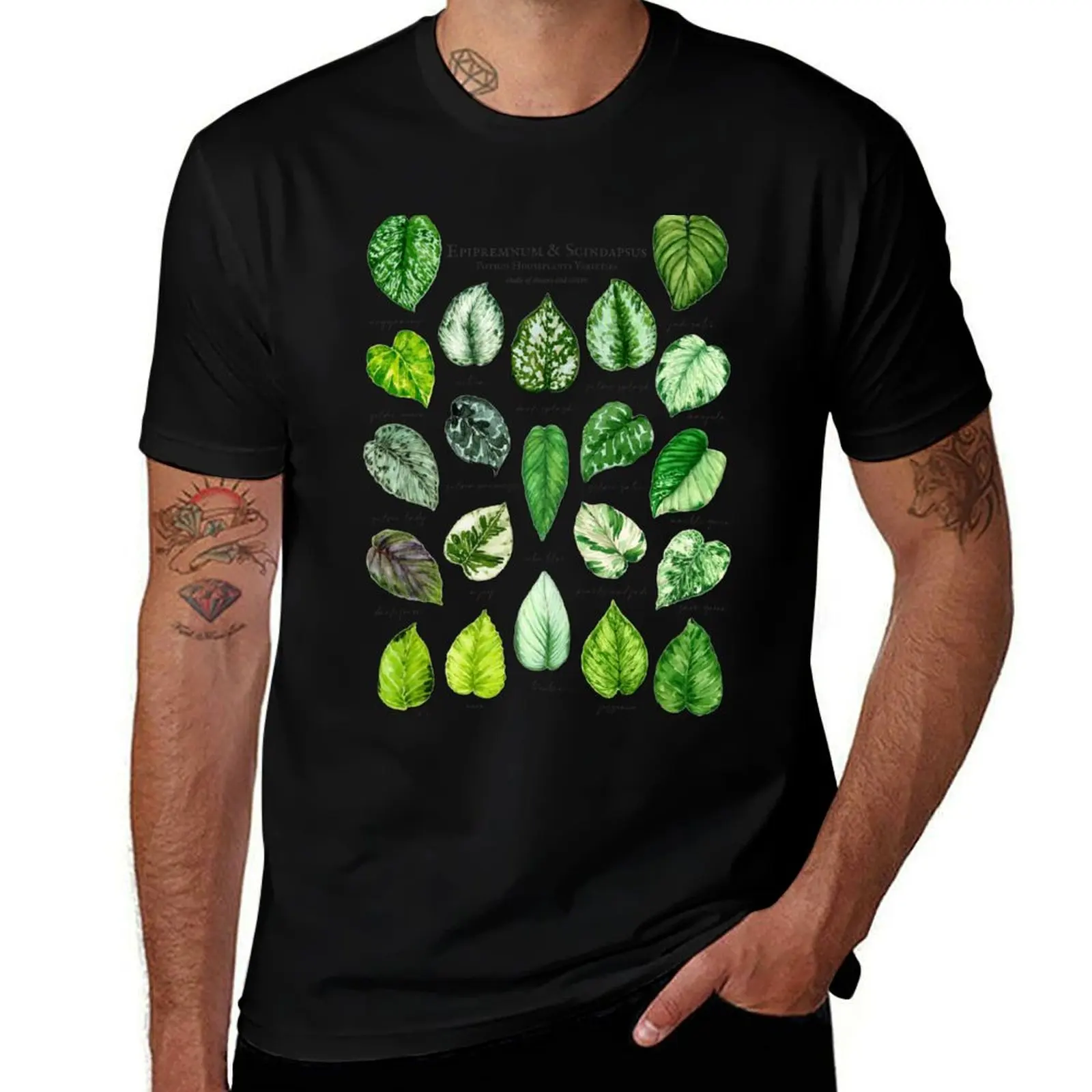 Scindapsus pothos varieties light T-Shirt Basic Comfort Fit for Men T-Shirt