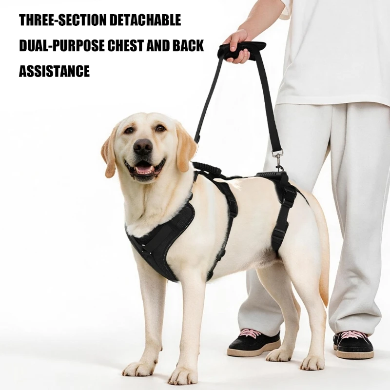 Detachable Dog Support with Two Padded Handles and Rear Support for Assisted Movement and Routine Daily Walks Y5GB